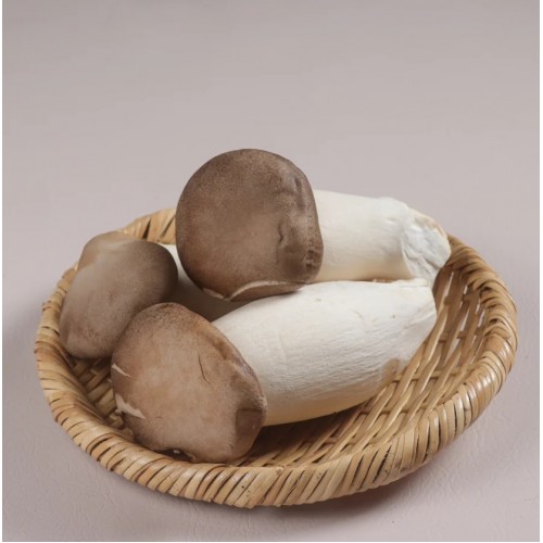 Jinsiy aloqa ogli onasini sikadi Erkaklar holda porno film